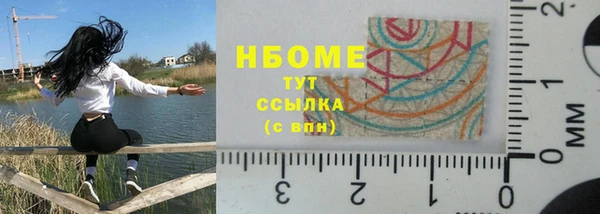 мет Алексин