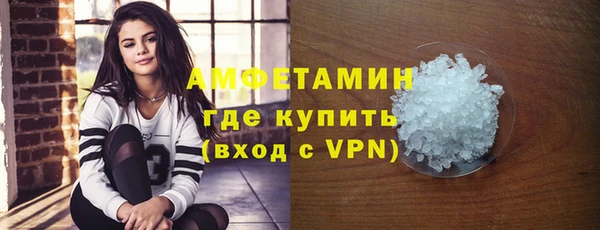 мет Алексин