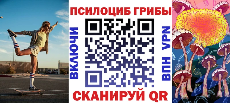 Галлюциногенные грибы Magic Shrooms  цены   omg вход  Перевоз 